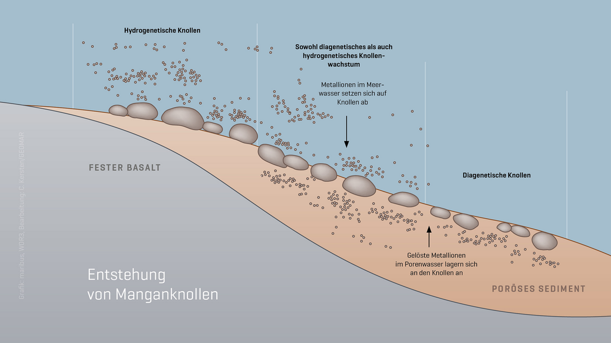 Grafik Wachstum von Manganknollen
