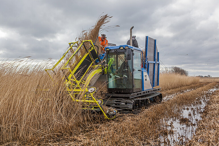 Die Nutzung von Biomasse aus wiedervernässten Mooren für die Bioenergienutzung in Verbindung mit der Kohlenstoffabscheidung und -speicherung kann zur Entnahme von Kohlendioxid aus der Atmosphäre beitragen. Foto: Tobias Dahms, AESA aerial 2018