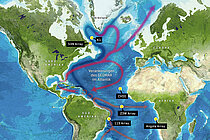 Map of the oceanographic moorings in the Atlantic managed by GEOMAR, showing the currents of warm surface water and cold deep water associated with the Atlantic Meridional Overturning Circulation (AMOC). Graphic: Christoph Kersten/GEOMAR, Background: GEBCO