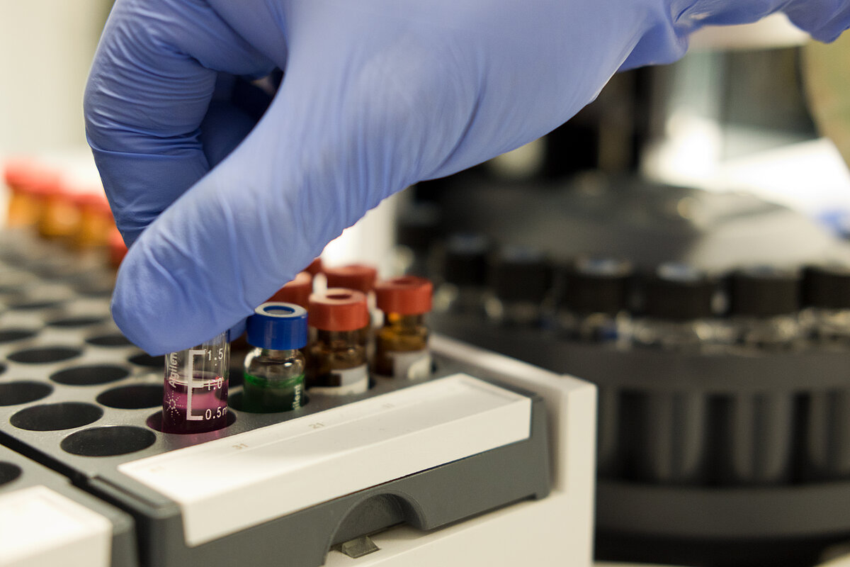 [Translate to English:] j