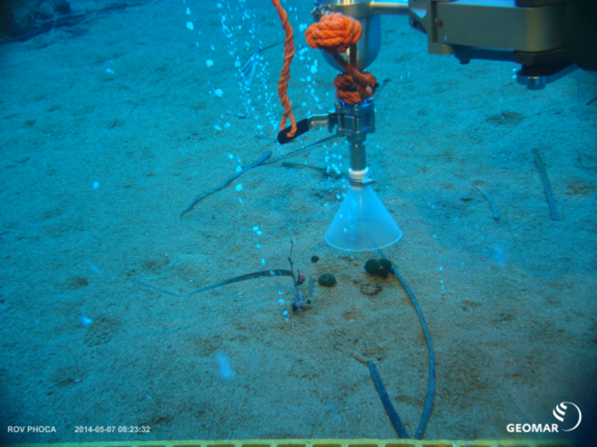 [Translate to English:] CO2 bubbling