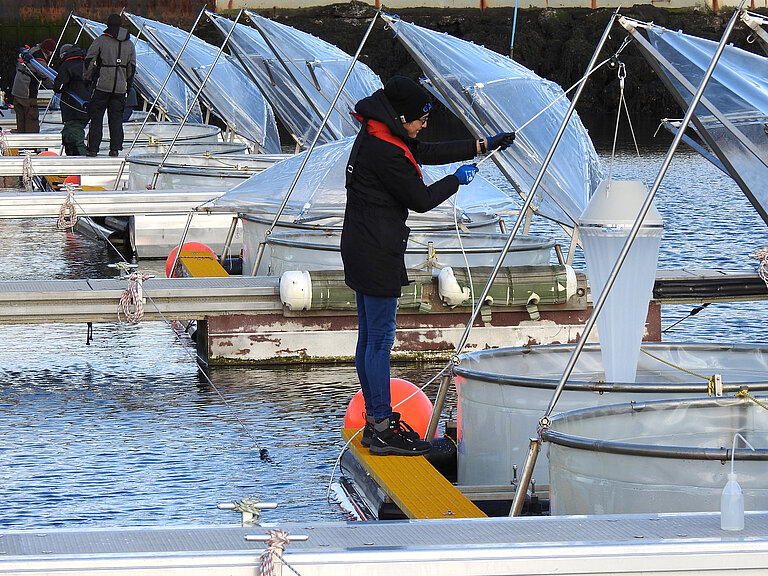 In einem Experiment auf Helgoland untersuchen Forschende im Rahmen des Verbundprojekts RETAKE der Forschungsmission CDRmare Risiken und Nebenwirkungen der Ozean-Alkalinisierung. Foto Ulf Riebesell, GEOMAR