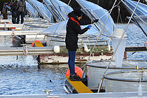 Mesokosmen auf Helgoland