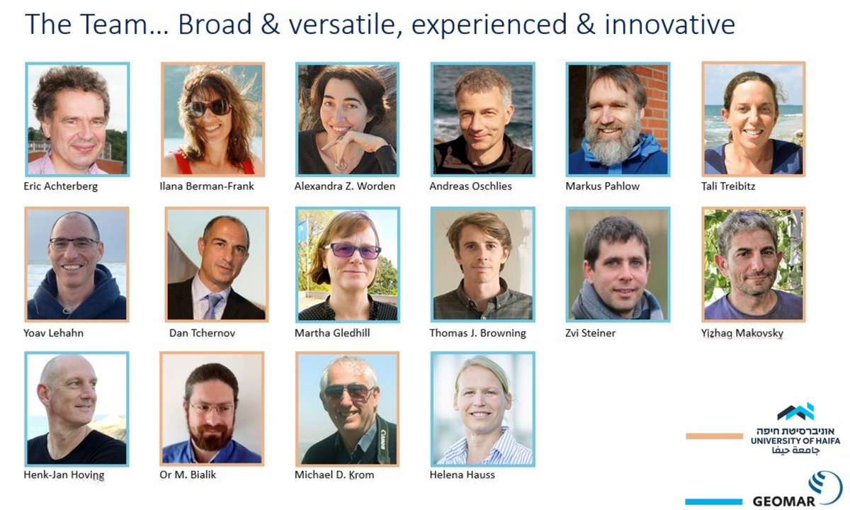 Project Team Overview