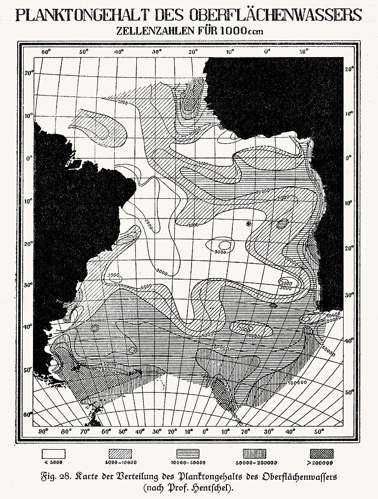 Verteilung des Planktongehalts des Oberflächenwassers