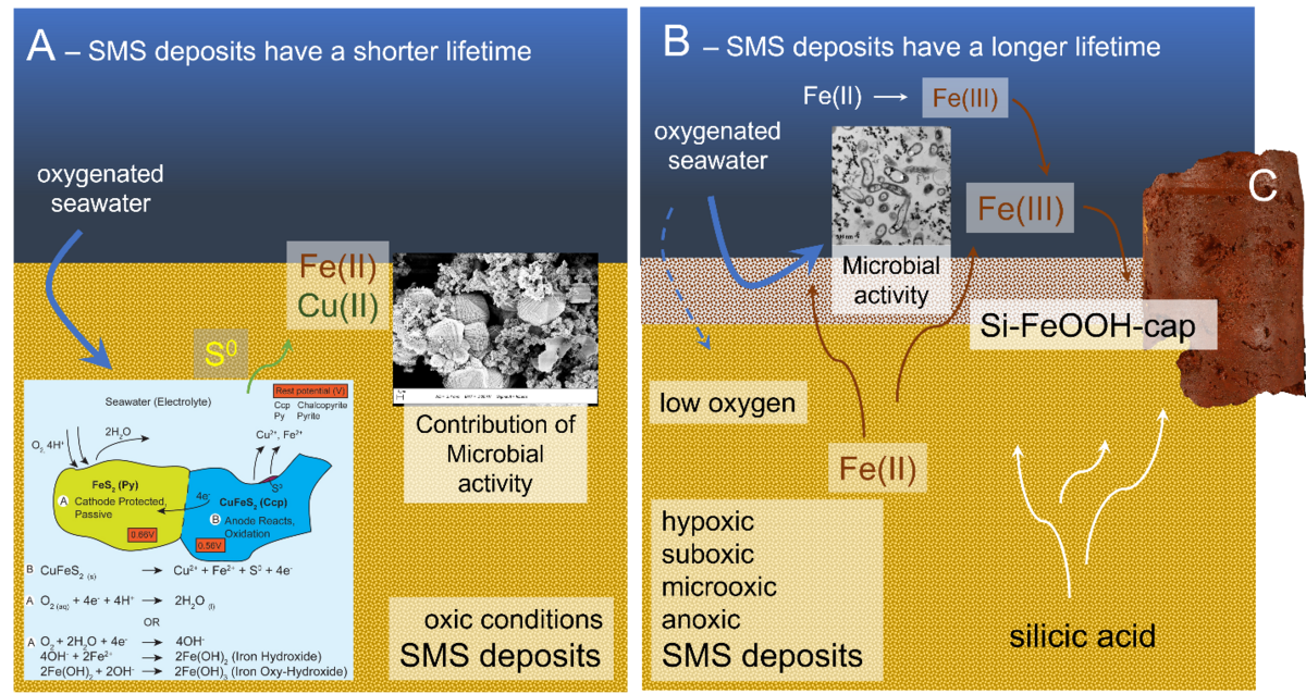[Translate to English:] SMS